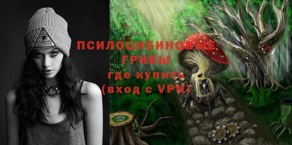 герыч Бронницы
