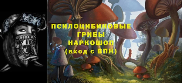 мдпв Бугульма