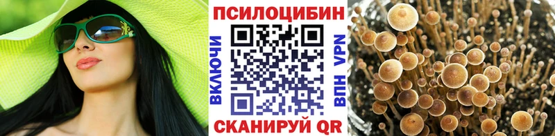 купить   kraken сайт  Псилоцибиновые грибы Magic Shrooms  площадка формула  Монино 